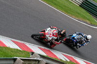 cadwell-no-limits-trackday;cadwell-park;cadwell-park-photographs;cadwell-trackday-photographs;enduro-digital-images;event-digital-images;eventdigitalimages;no-limits-trackdays;peter-wileman-photography;racing-digital-images;trackday-digital-images;trackday-photos