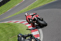 cadwell-no-limits-trackday;cadwell-park;cadwell-park-photographs;cadwell-trackday-photographs;enduro-digital-images;event-digital-images;eventdigitalimages;no-limits-trackdays;peter-wileman-photography;racing-digital-images;trackday-digital-images;trackday-photos