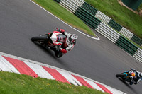 cadwell-no-limits-trackday;cadwell-park;cadwell-park-photographs;cadwell-trackday-photographs;enduro-digital-images;event-digital-images;eventdigitalimages;no-limits-trackdays;peter-wileman-photography;racing-digital-images;trackday-digital-images;trackday-photos