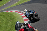 cadwell-no-limits-trackday;cadwell-park;cadwell-park-photographs;cadwell-trackday-photographs;enduro-digital-images;event-digital-images;eventdigitalimages;no-limits-trackdays;peter-wileman-photography;racing-digital-images;trackday-digital-images;trackday-photos