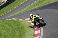 cadwell-no-limits-trackday;cadwell-park;cadwell-park-photographs;cadwell-trackday-photographs;enduro-digital-images;event-digital-images;eventdigitalimages;no-limits-trackdays;peter-wileman-photography;racing-digital-images;trackday-digital-images;trackday-photos