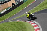 cadwell-no-limits-trackday;cadwell-park;cadwell-park-photographs;cadwell-trackday-photographs;enduro-digital-images;event-digital-images;eventdigitalimages;no-limits-trackdays;peter-wileman-photography;racing-digital-images;trackday-digital-images;trackday-photos