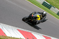 cadwell-no-limits-trackday;cadwell-park;cadwell-park-photographs;cadwell-trackday-photographs;enduro-digital-images;event-digital-images;eventdigitalimages;no-limits-trackdays;peter-wileman-photography;racing-digital-images;trackday-digital-images;trackday-photos