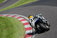 cadwell-no-limits-trackday;cadwell-park;cadwell-park-photographs;cadwell-trackday-photographs;enduro-digital-images;event-digital-images;eventdigitalimages;no-limits-trackdays;peter-wileman-photography;racing-digital-images;trackday-digital-images;trackday-photos
