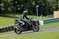 Novice Black Bikes