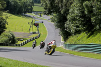 Novice Yellow Bikes