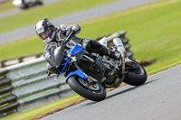 Novice Blue Bikes