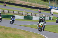 Novice Green Bikes