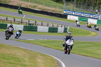 enduro-digital-images;event-digital-images;eventdigitalimages;mallory-park;mallory-park-photographs;mallory-park-trackday;mallory-park-trackday-photographs;no-limits-trackdays;peter-wileman-photography;racing-digital-images;trackday-digital-images;trackday-photos