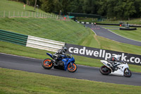 Evening Fast/Inter Blue Bikes