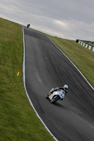 Evening Fast/Inter White Bikes