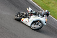 Evening Fast/Inter White Bikes