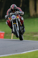 Evening Fast/Inter Yellow Bikes