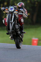 Evening Fast/Inter Yellow Bikes