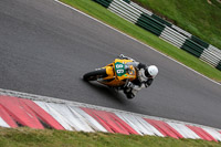 cadwell-no-limits-trackday;cadwell-park;cadwell-park-photographs;cadwell-trackday-photographs;enduro-digital-images;event-digital-images;eventdigitalimages;no-limits-trackdays;peter-wileman-photography;racing-digital-images;trackday-digital-images;trackday-photos
