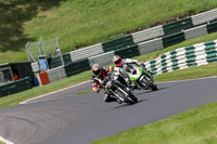 cadwell-no-limits-trackday;cadwell-park;cadwell-park-photographs;cadwell-trackday-photographs;enduro-digital-images;event-digital-images;eventdigitalimages;no-limits-trackdays;peter-wileman-photography;racing-digital-images;trackday-digital-images;trackday-photos