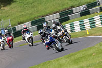 cadwell-no-limits-trackday;cadwell-park;cadwell-park-photographs;cadwell-trackday-photographs;enduro-digital-images;event-digital-images;eventdigitalimages;no-limits-trackdays;peter-wileman-photography;racing-digital-images;trackday-digital-images;trackday-photos