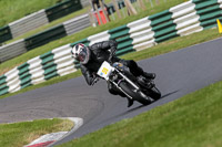 Inter Silver/Grey Bikes