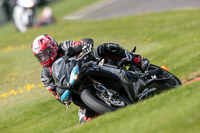 Novice Black Bikes