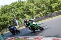 Novice Green Bikes