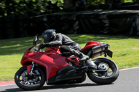 Novice Red Bikes