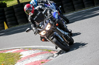 cadwell-no-limits-trackday;cadwell-park;cadwell-park-photographs;cadwell-trackday-photographs;enduro-digital-images;event-digital-images;eventdigitalimages;no-limits-trackdays;peter-wileman-photography;racing-digital-images;trackday-digital-images;trackday-photos