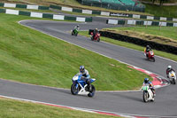 Evening Novice/Inter Group