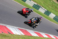 cadwell-no-limits-trackday;cadwell-park;cadwell-park-photographs;cadwell-trackday-photographs;enduro-digital-images;event-digital-images;eventdigitalimages;no-limits-trackdays;peter-wileman-photography;racing-digital-images;trackday-digital-images;trackday-photos
