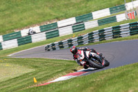 cadwell-no-limits-trackday;cadwell-park;cadwell-park-photographs;cadwell-trackday-photographs;enduro-digital-images;event-digital-images;eventdigitalimages;no-limits-trackdays;peter-wileman-photography;racing-digital-images;trackday-digital-images;trackday-photos