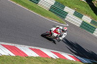 cadwell-no-limits-trackday;cadwell-park;cadwell-park-photographs;cadwell-trackday-photographs;enduro-digital-images;event-digital-images;eventdigitalimages;no-limits-trackdays;peter-wileman-photography;racing-digital-images;trackday-digital-images;trackday-photos