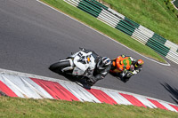 cadwell-no-limits-trackday;cadwell-park;cadwell-park-photographs;cadwell-trackday-photographs;enduro-digital-images;event-digital-images;eventdigitalimages;no-limits-trackdays;peter-wileman-photography;racing-digital-images;trackday-digital-images;trackday-photos