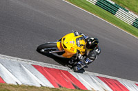 cadwell-no-limits-trackday;cadwell-park;cadwell-park-photographs;cadwell-trackday-photographs;enduro-digital-images;event-digital-images;eventdigitalimages;no-limits-trackdays;peter-wileman-photography;racing-digital-images;trackday-digital-images;trackday-photos