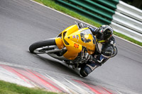 Fast Yellow Bikes