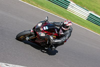 cadwell-no-limits-trackday;cadwell-park;cadwell-park-photographs;cadwell-trackday-photographs;enduro-digital-images;event-digital-images;eventdigitalimages;no-limits-trackdays;peter-wileman-photography;racing-digital-images;trackday-digital-images;trackday-photos