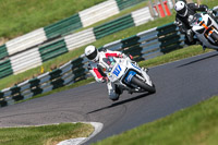 cadwell-no-limits-trackday;cadwell-park;cadwell-park-photographs;cadwell-trackday-photographs;enduro-digital-images;event-digital-images;eventdigitalimages;no-limits-trackdays;peter-wileman-photography;racing-digital-images;trackday-digital-images;trackday-photos
