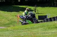 Novice Black Bikes