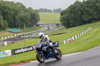 Novice Blue Bikes