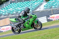 Novice Green Bikes