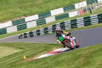 cadwell-no-limits-trackday;cadwell-park;cadwell-park-photographs;cadwell-trackday-photographs;enduro-digital-images;event-digital-images;eventdigitalimages;no-limits-trackdays;peter-wileman-photography;racing-digital-images;trackday-digital-images;trackday-photos