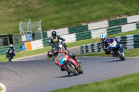 cadwell-no-limits-trackday;cadwell-park;cadwell-park-photographs;cadwell-trackday-photographs;enduro-digital-images;event-digital-images;eventdigitalimages;no-limits-trackdays;peter-wileman-photography;racing-digital-images;trackday-digital-images;trackday-photos