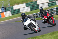 cadwell-no-limits-trackday;cadwell-park;cadwell-park-photographs;cadwell-trackday-photographs;enduro-digital-images;event-digital-images;eventdigitalimages;no-limits-trackdays;peter-wileman-photography;racing-digital-images;trackday-digital-images;trackday-photos