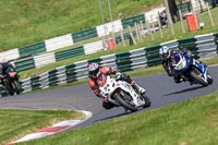 cadwell-no-limits-trackday;cadwell-park;cadwell-park-photographs;cadwell-trackday-photographs;enduro-digital-images;event-digital-images;eventdigitalimages;no-limits-trackdays;peter-wileman-photography;racing-digital-images;trackday-digital-images;trackday-photos