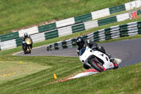 cadwell-no-limits-trackday;cadwell-park;cadwell-park-photographs;cadwell-trackday-photographs;enduro-digital-images;event-digital-images;eventdigitalimages;no-limits-trackdays;peter-wileman-photography;racing-digital-images;trackday-digital-images;trackday-photos