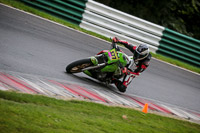 Evening Novice/Inter Green Bikes