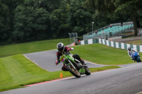 Evening Novice/Inter Green Bikes