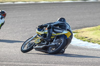 Evening Fast/Inter Yellow Bikes