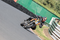 Novice Orange Bikes