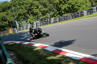 Fast Group Black Bikes