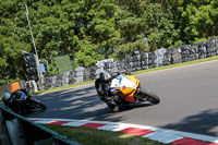 Fast Group Orange Bikes