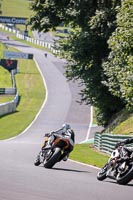 Fast Group Orange Bikes